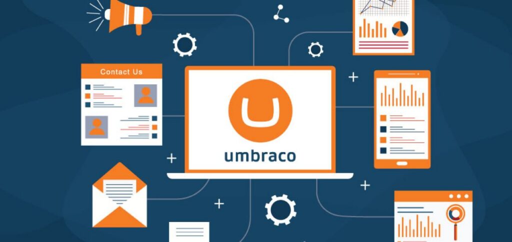 Umbraco Developer